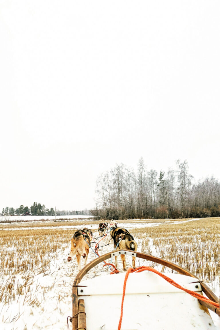 Dog Sledding in Lapland Finland: A Thrilling Arctic Adventure!